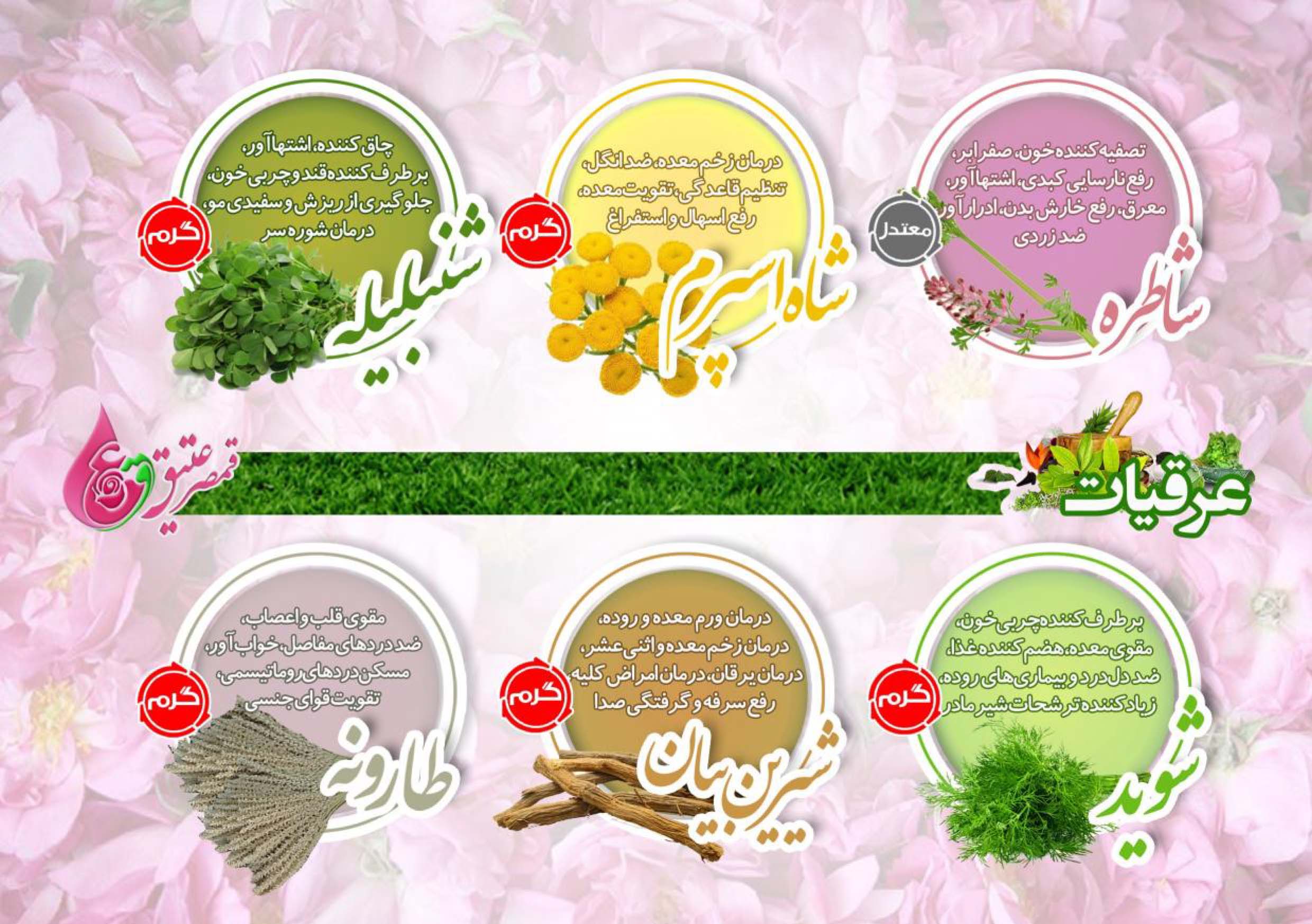 خرید عرقیات قمصر کاشان